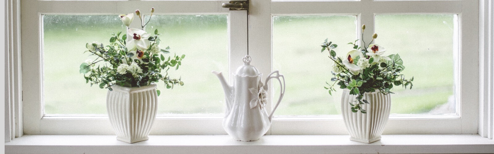 picture of white pot plants