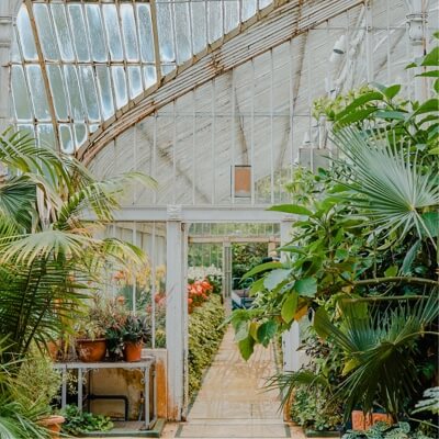 botanical garden