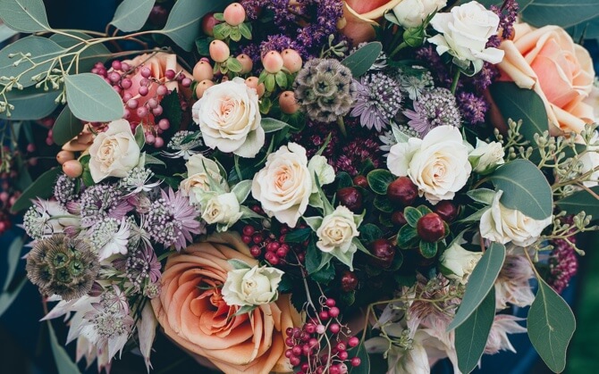 picture of flower